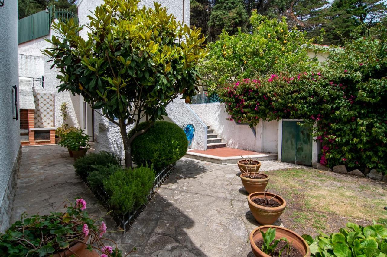 Hébergement de vacances Vivenda Santiago